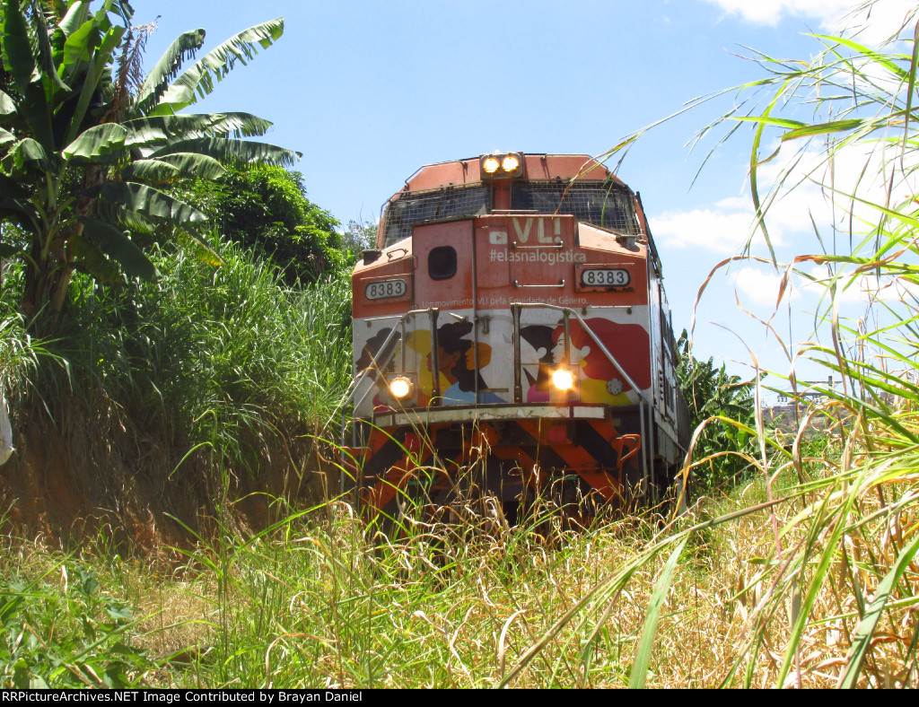 VLI 8383
